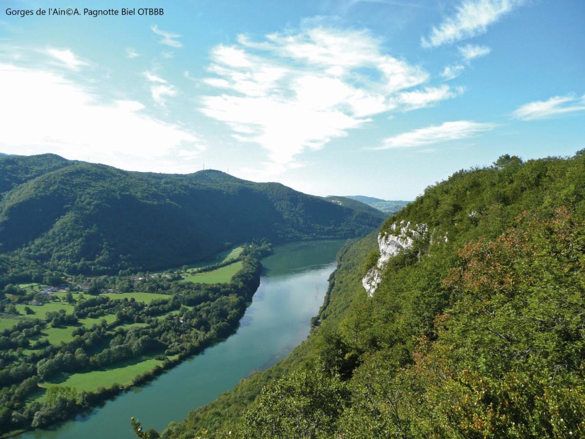 Brou-Seillon : Entre Histoire Et Nature Bourg-en-Bresse Exterior photo