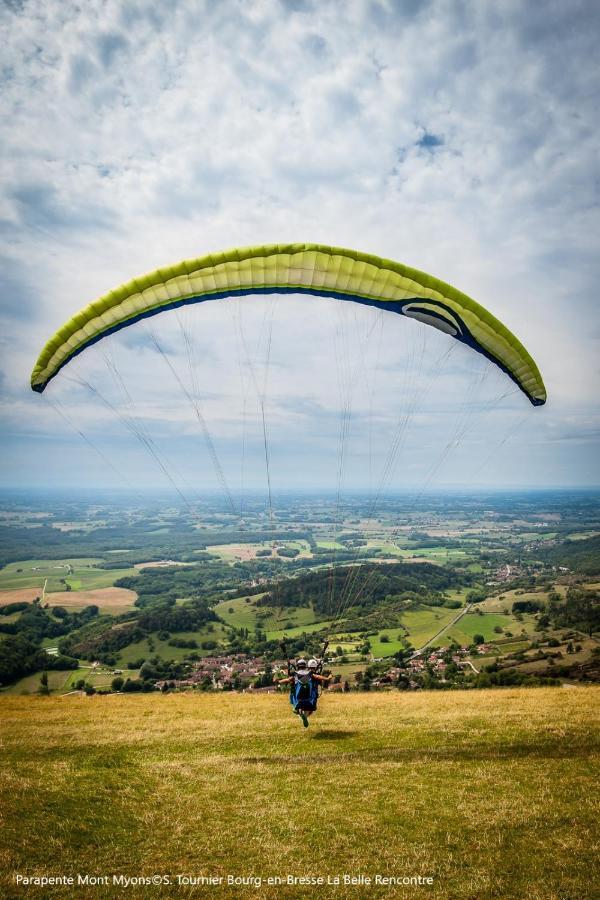 Brou-Seillon : Entre Histoire Et Nature Bourg-en-Bresse Exterior photo