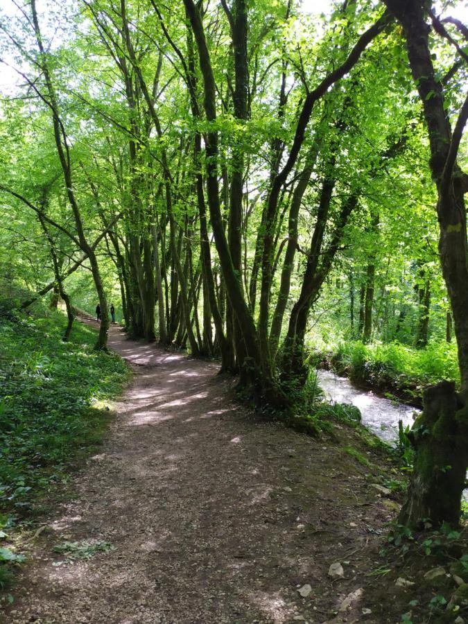 Brou-Seillon : Entre Histoire Et Nature Bourg-en-Bresse Exterior photo