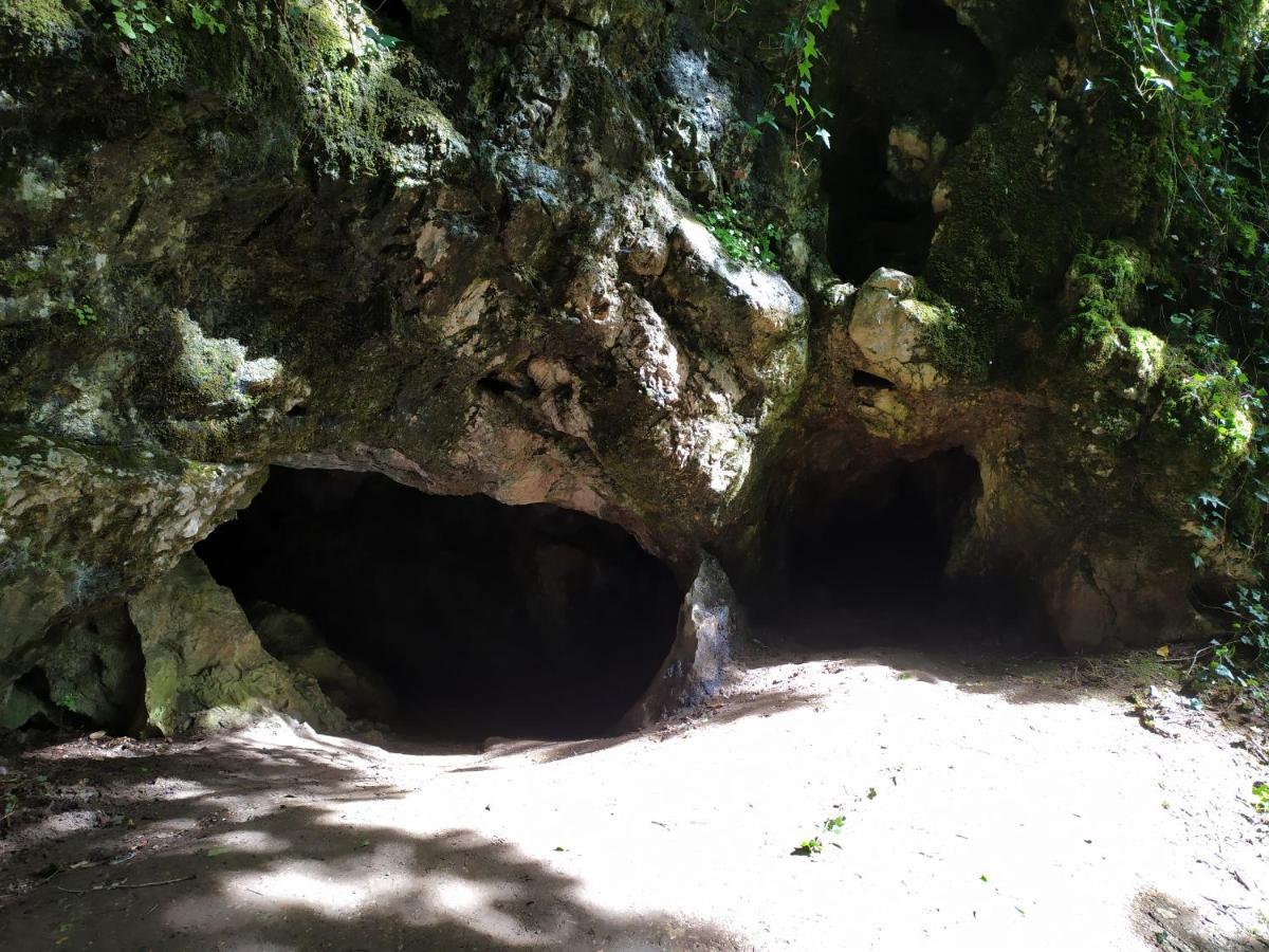 Brou-Seillon : Entre Histoire Et Nature Bourg-en-Bresse Exterior photo