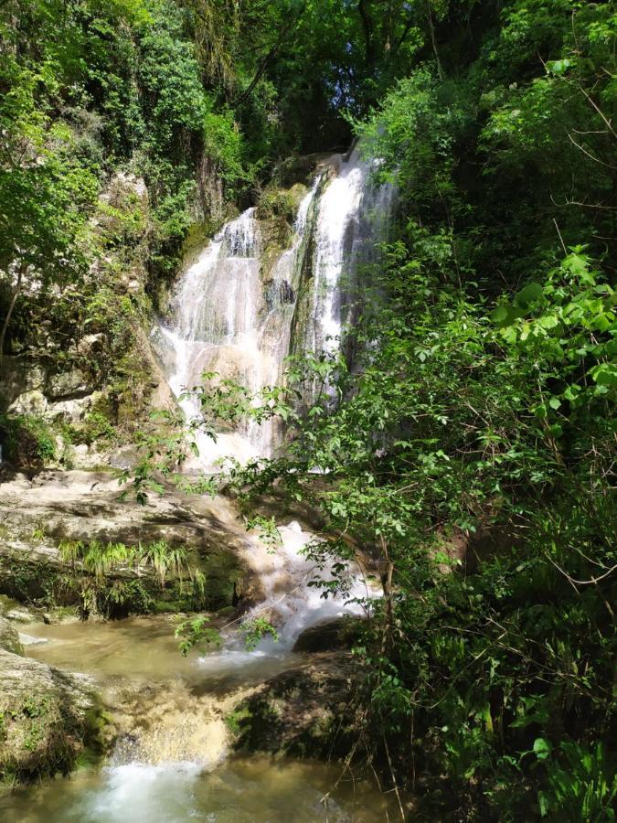 Brou-Seillon : Entre Histoire Et Nature Bourg-en-Bresse Exterior photo